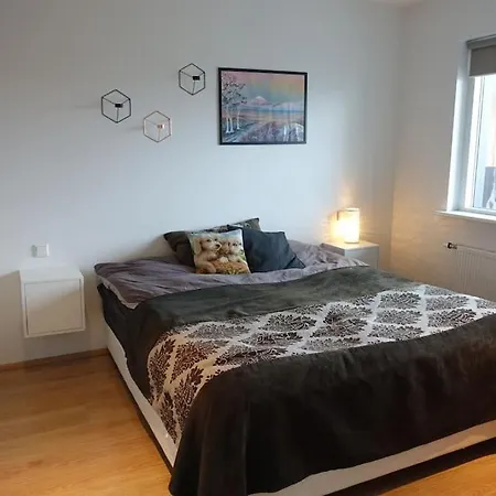 Beautiful Flat In Downtown With A Veiw Appartement